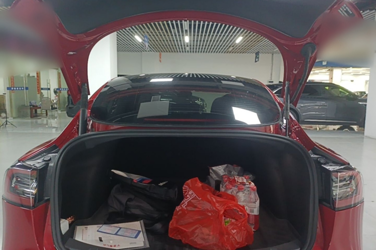 Tesla Model 3 2022 car image #22