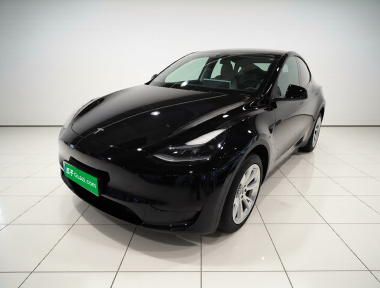 Tesla Model Y 2023 Tesla Model Y 2023 car image