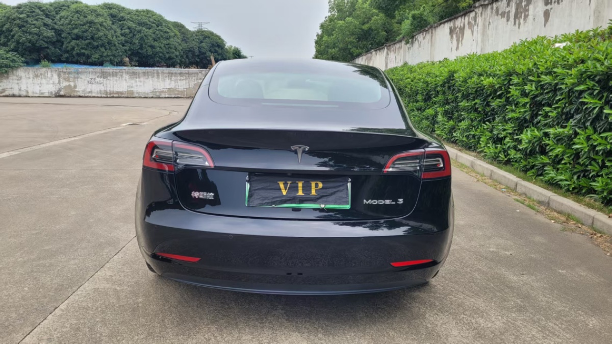 Tesla Model 3 2021 #6 Tesla Model 3 2021 car image #6