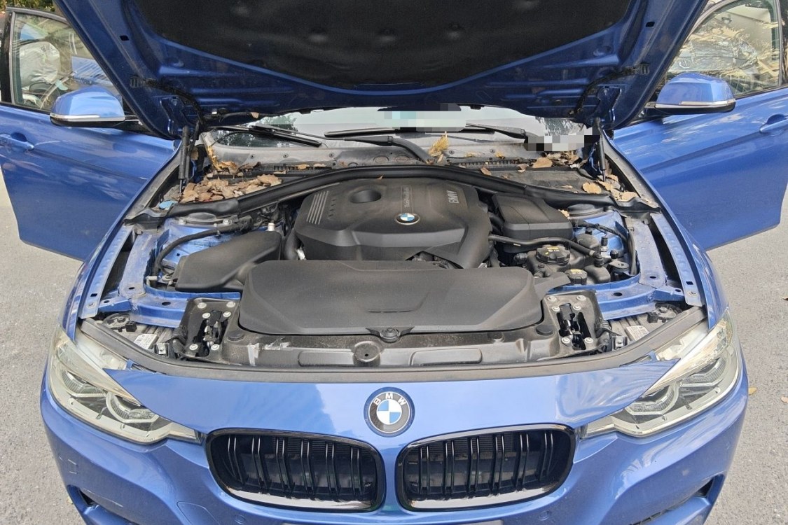 BMW 3 Series 2017 imagem de carro #10