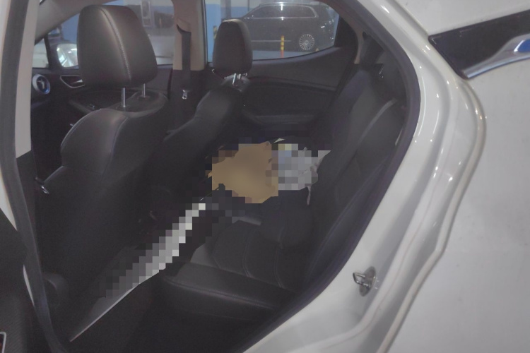 BYD Yuan New Energy 2019 car image #10