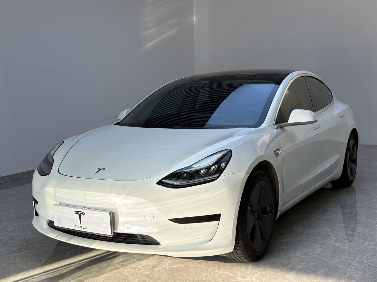 Tesla Model 3 2020 #3 Tesla Model 3 2020 car image #3