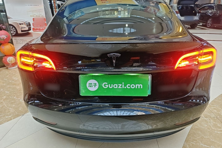 Tesla Model 3 2021 #6 Tesla Model 3 2021 car image #6