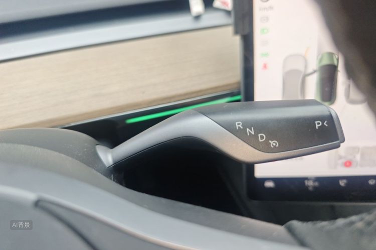 Tesla Model 3 2021 car image #16