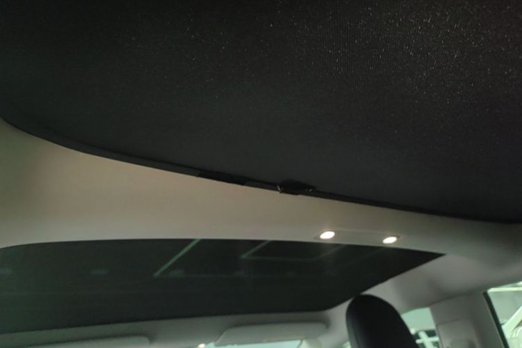 Tesla Model 3 2020 car image #18
