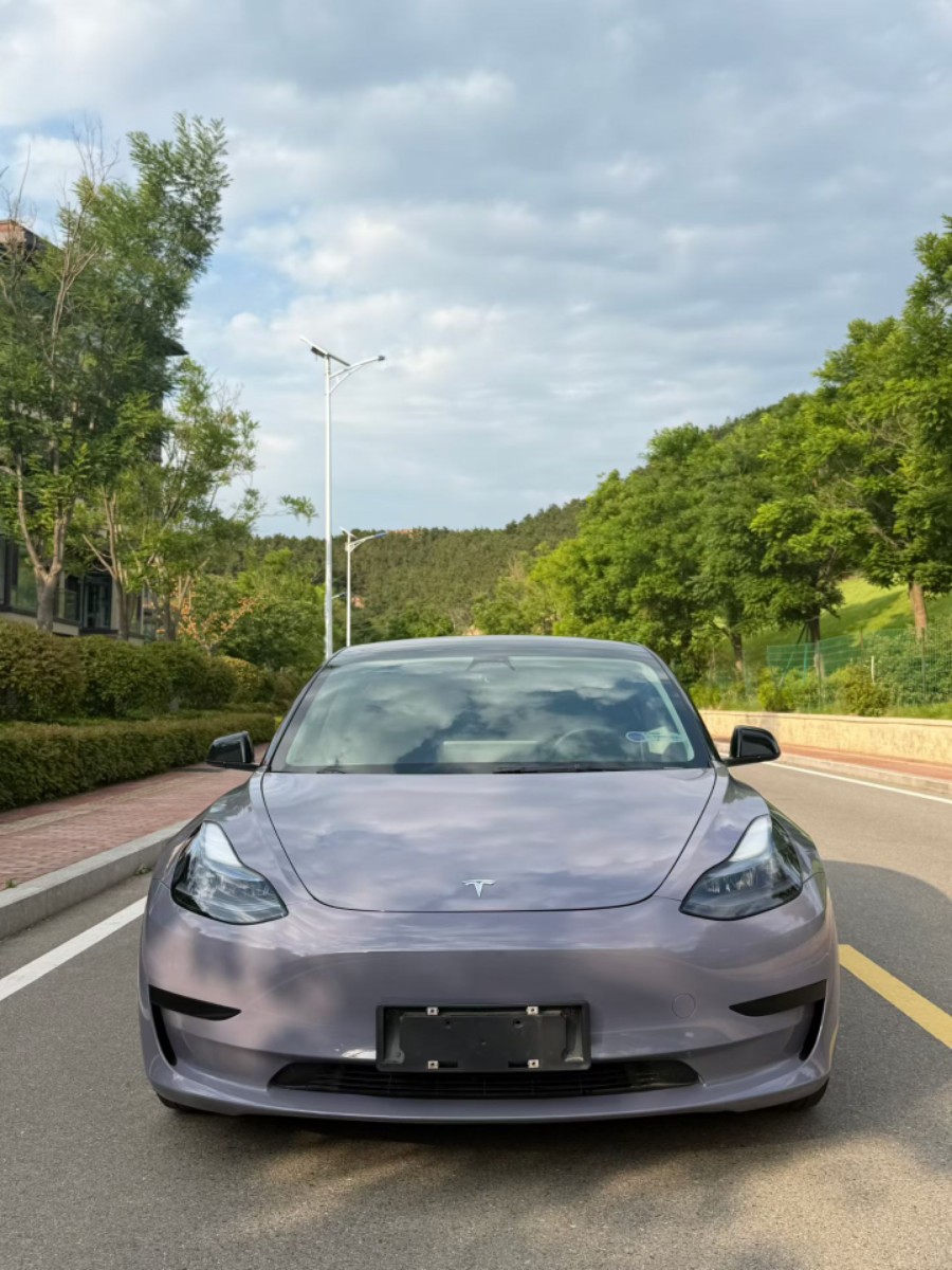 Tesla Model 3 2021 immagine di auto #2