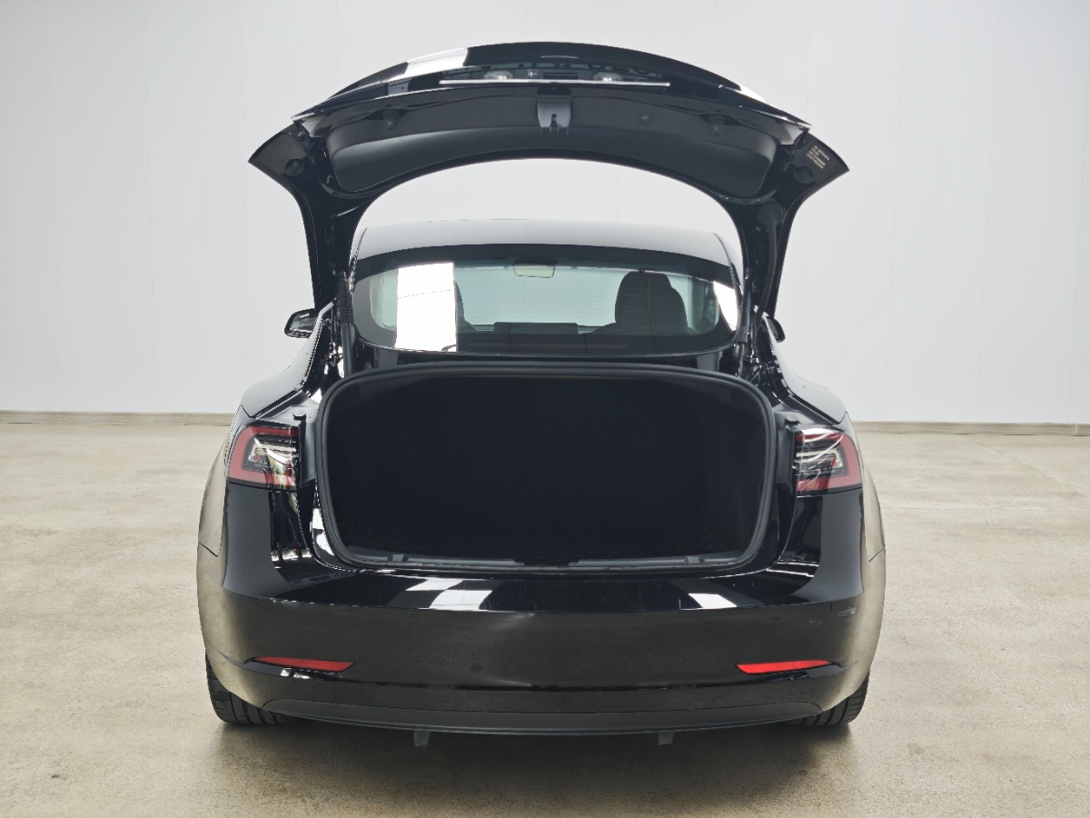 Tesla Model 3 2021 #6 Tesla Model 3 2021 car image #6