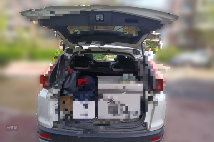 Honda CR-V 2020 #21 Honda CR-V 2020 car image #21