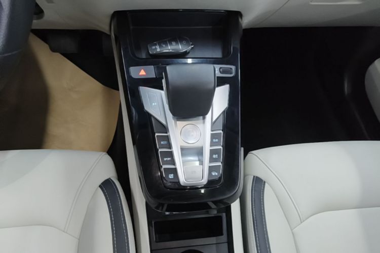 BYD Yuan Pro 2022 #14 BYD Yuan Pro 2022 immagine di auto #14