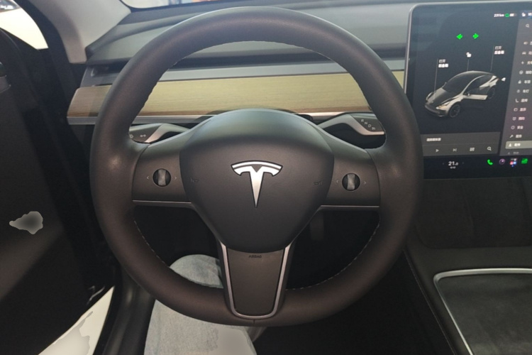 Tesla Model Y 2021 car image #15