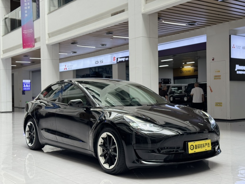 Tesla Model 3 2022 car image #3