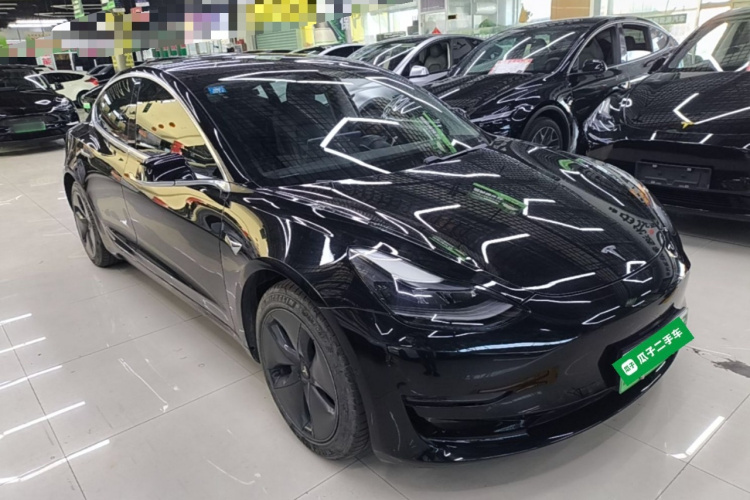 Tesla Model 3 2020 car image #4