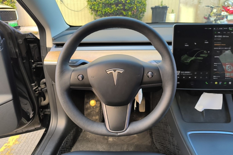 Tesla Model 3 2021 #15 Tesla Model 3 2021 car image #15