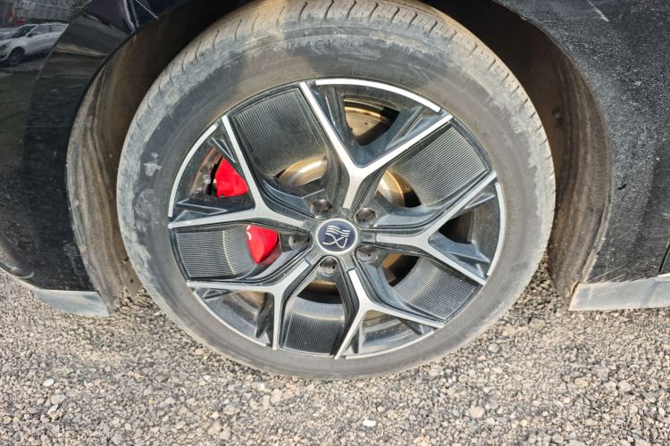 BYD Han 2024 imagen de coche #9