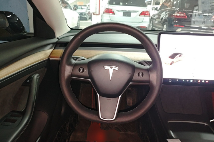 Tesla Model 3 2021 #17 Tesla Model 3 2021 car image #17