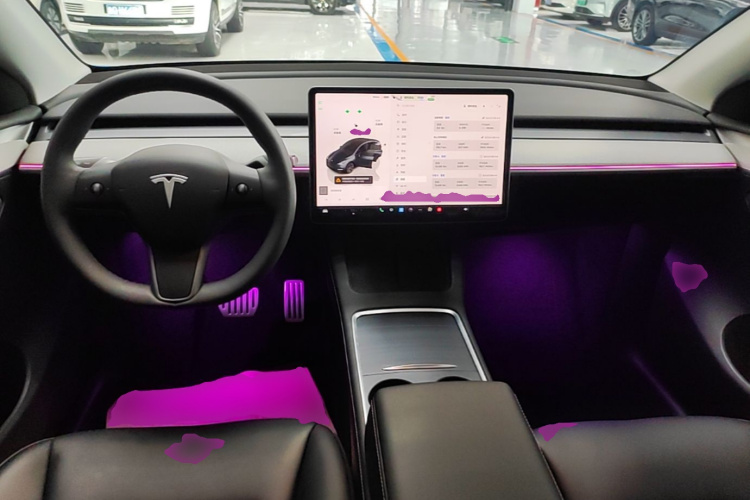 Tesla Model Y 2024 car image #10
