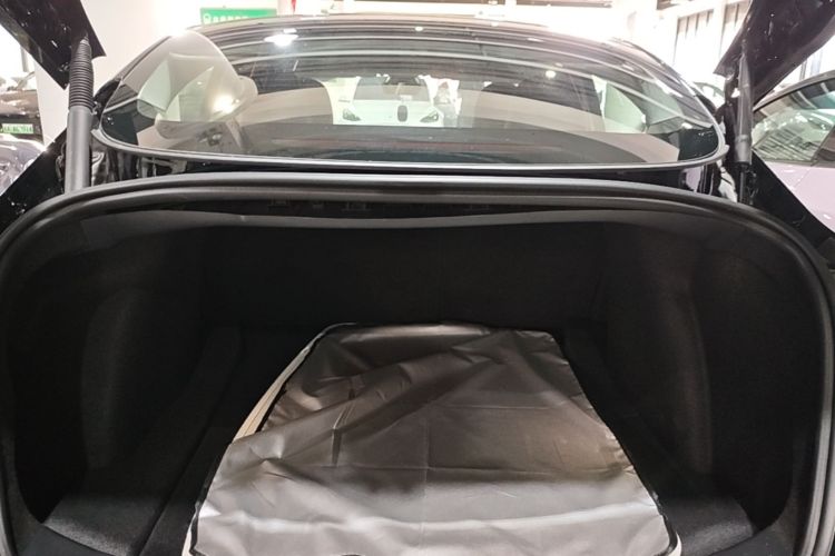Tesla Model 3 2021 #21 Tesla Model 3 2021 car image #21