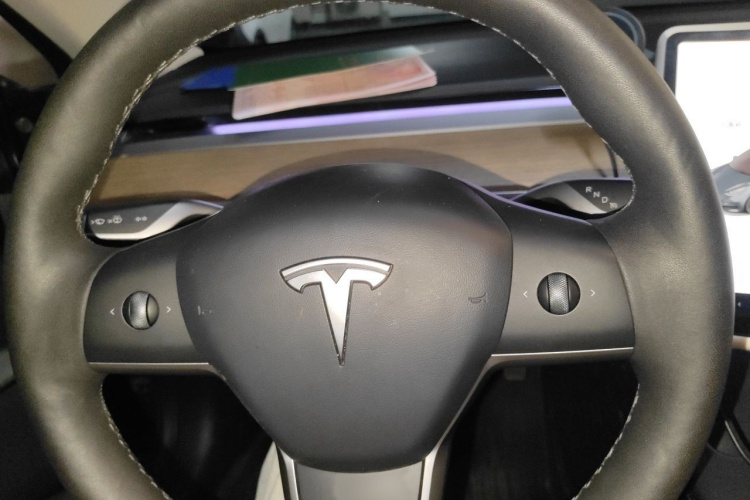 Tesla Model 3 2021 car image #13