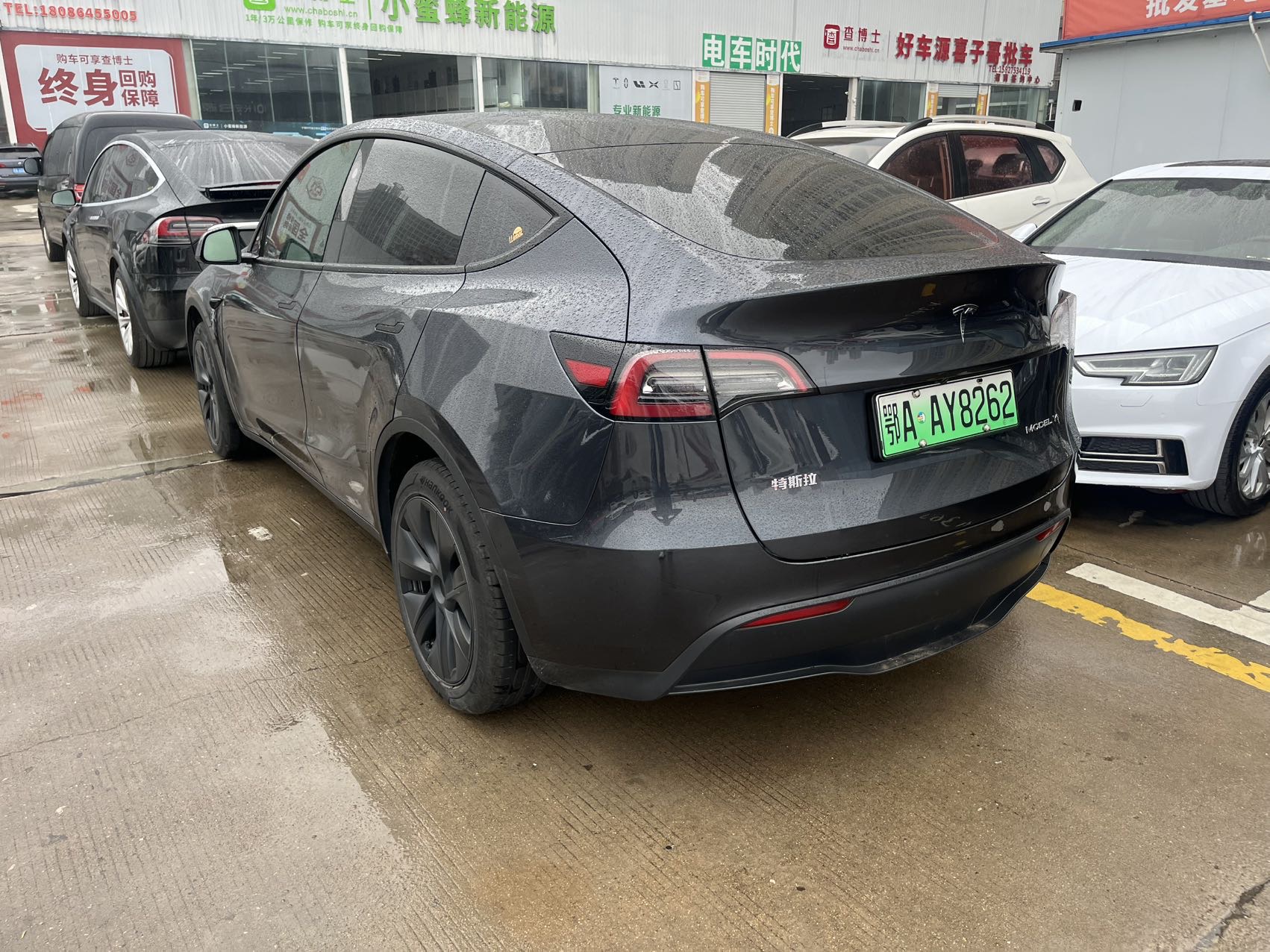 Tesla Model Y 2024 car image #6