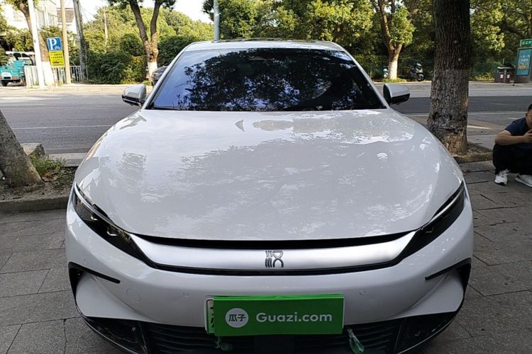 BYD Han 2022 #3 BYD Han 2022 immagine di auto #3