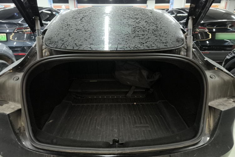 Tesla Model 3 2024 car image #19