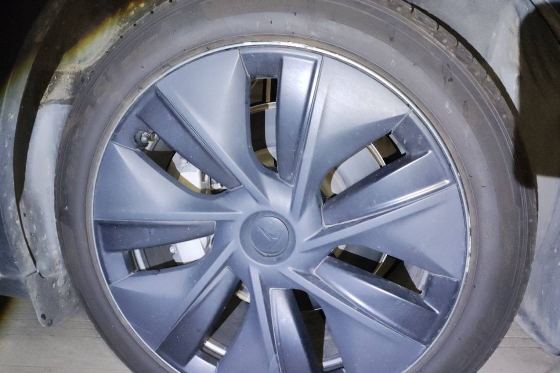 Tesla Model Y 2023 #9 Tesla Model Y 2023 car image #9