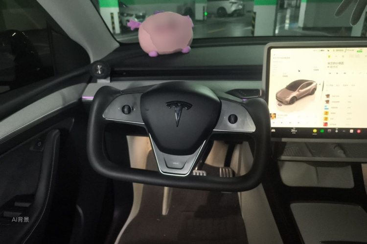 Tesla Model Y 2024 car image #12