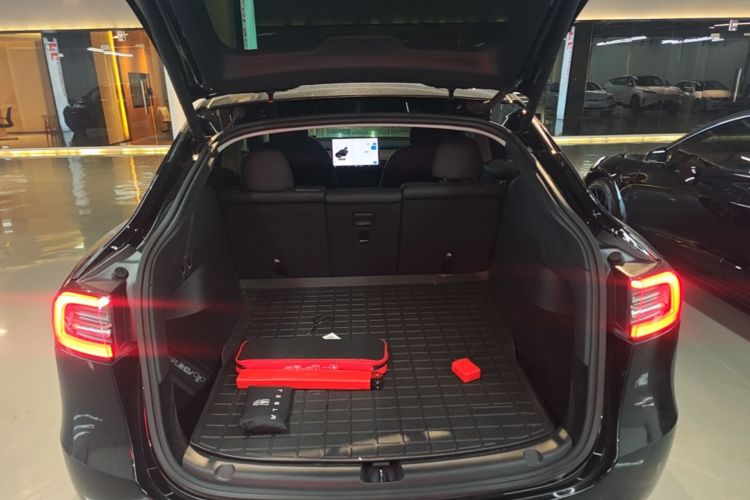 Tesla Model Y 2021 #19 Tesla Model Y 2021 car image #19