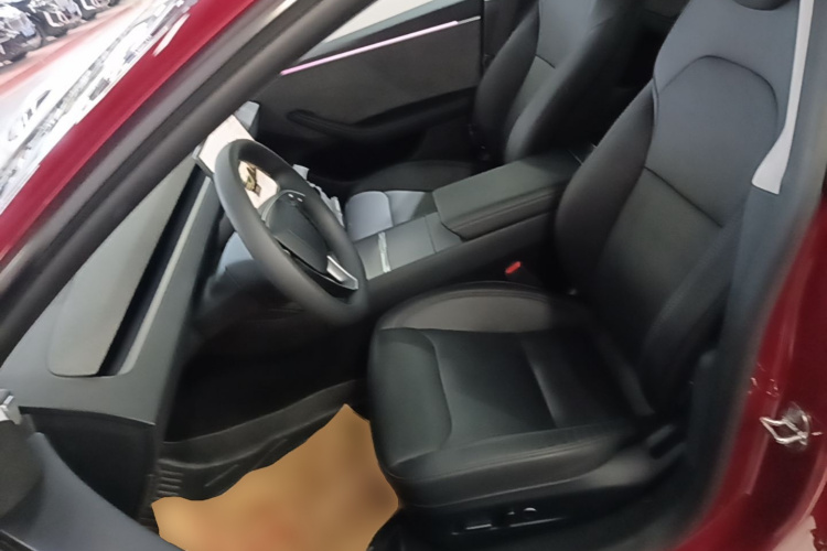 Tesla Model 3 2024 car image #19