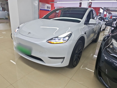 Tesla Model Y 2024 car image 