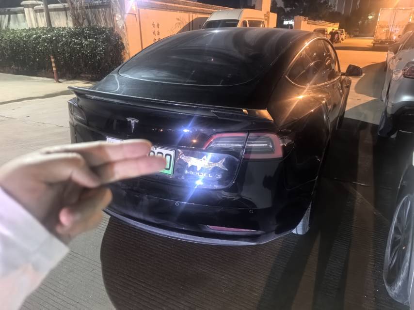 Tesla Model 3 2023 car image #3