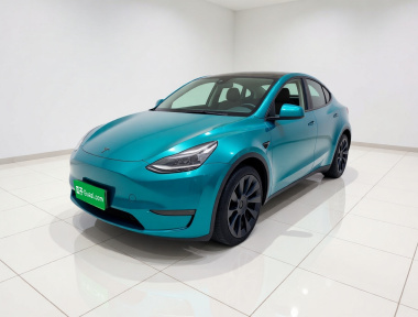Tesla Model Y 2021 car image 
