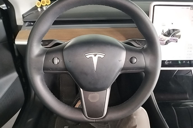 Tesla Model 3 2020 car image #11