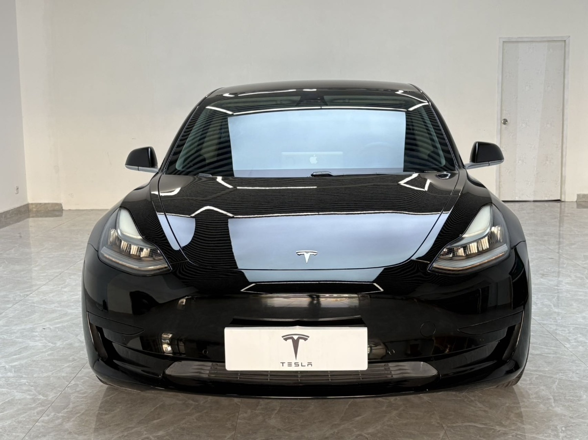Tesla Model 3 2020 car image #2