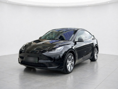 Tesla Model Y 2022 immagine di auto 