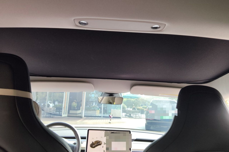 Tesla Model 3 2020 car image #16