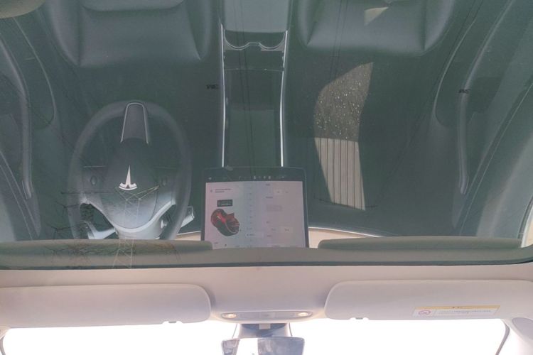 Tesla Model 3 2020 car image #18