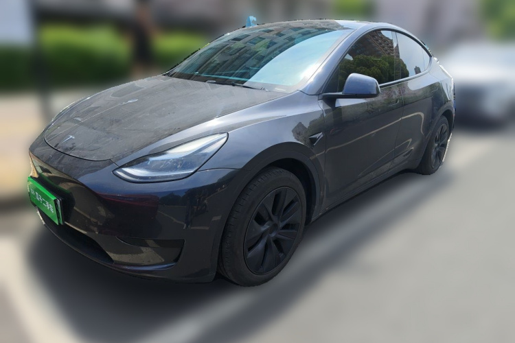 Tesla Model Y 2024 car image #2