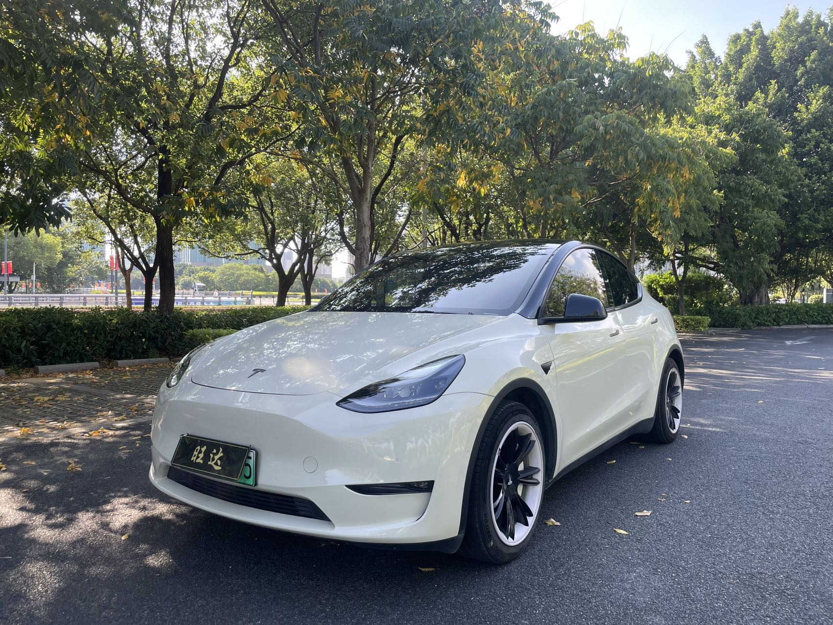 Tesla Model Y 2021 imagem de carro 