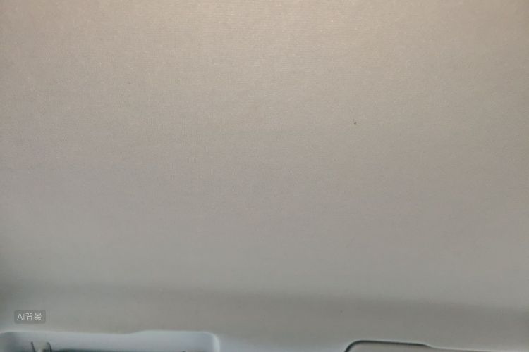 Volkswagen Santana 2020 car image #20