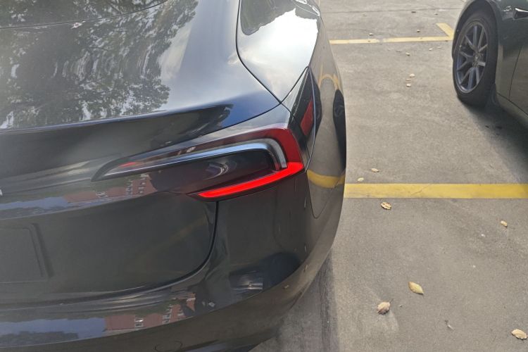 Tesla Model 3 2024 #8 Tesla Model 3 2024 car image #8