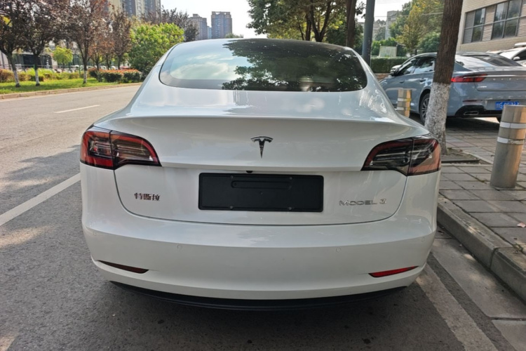 Tesla Model 3 2021 #6 Tesla Model 3 2021 immagine di auto #6