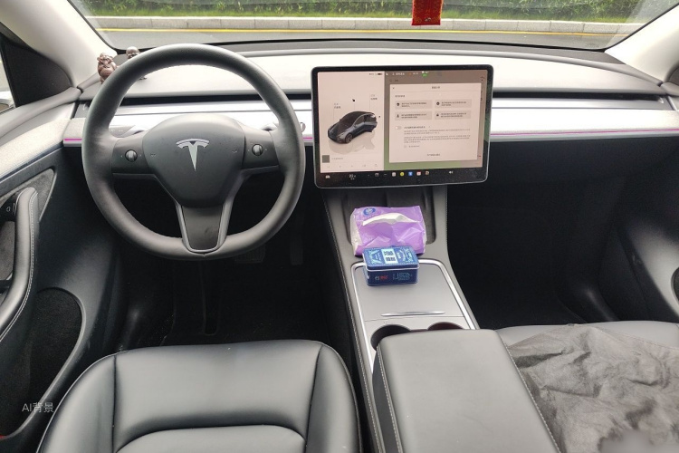 Tesla Model Y 2024 car image #11