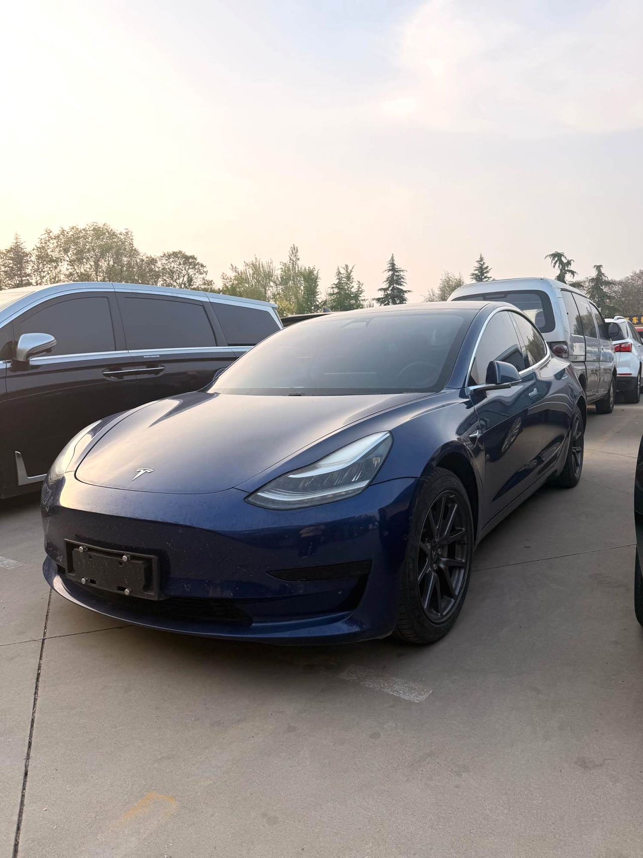 Tesla Model 3 2021 Tesla Model 3 2021 car image