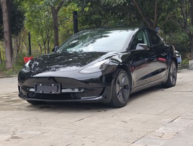 Tesla Model 3 2021 imagem de carro 