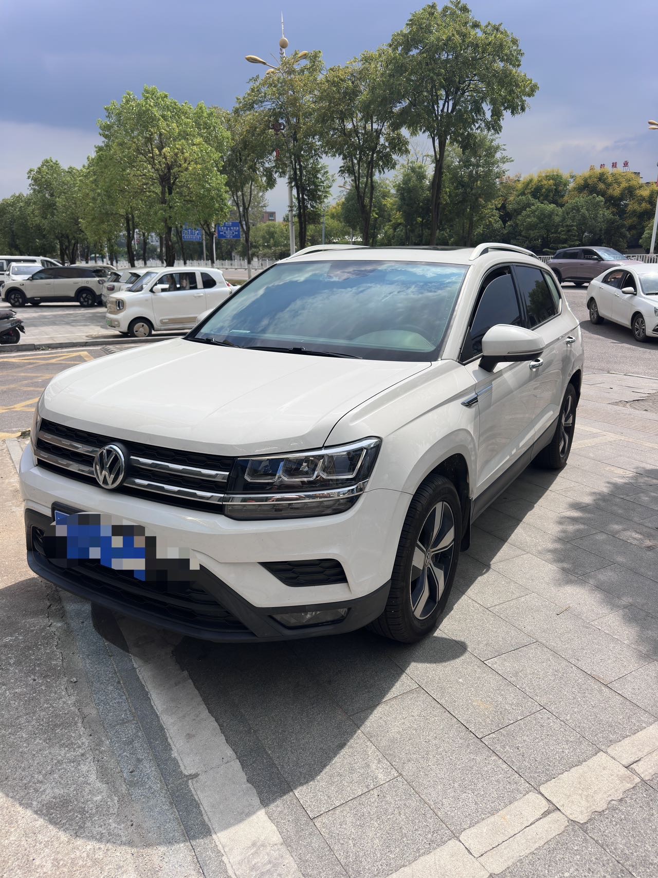 2019 immagine di auto 
