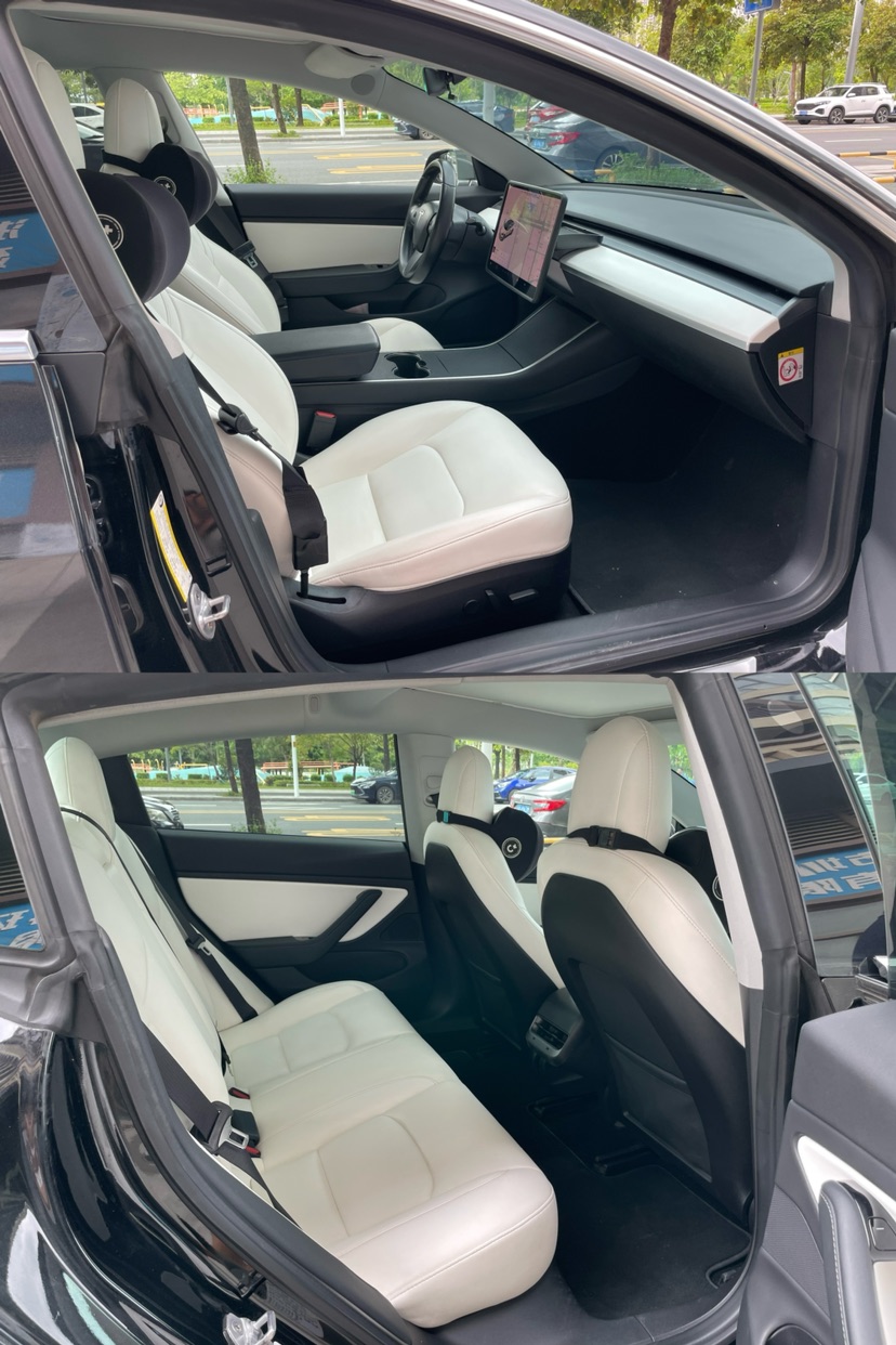 Tesla Model 3 (Imported) 2019 car image #9