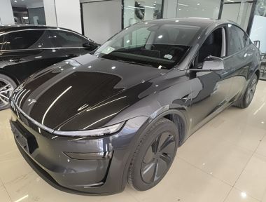 Tesla Model Y 2025 Tesla Model Y 2025 car image