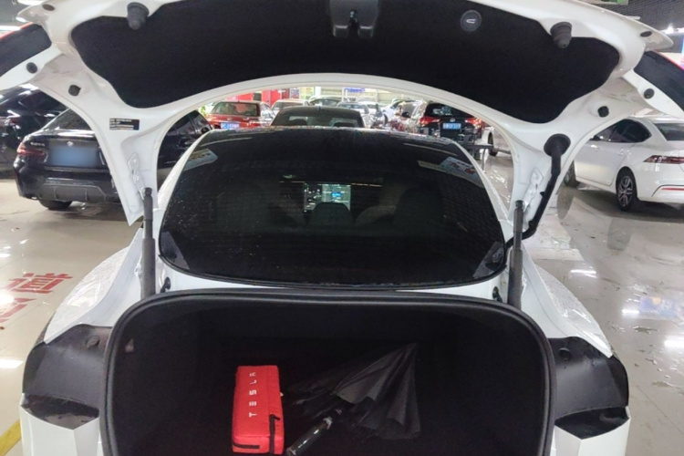 Tesla Model 3 2025 car image #19