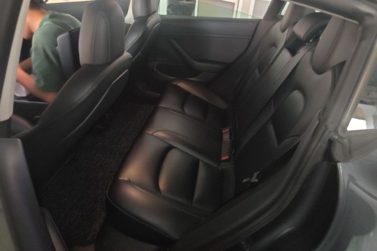Tesla Model 3 2020 car image #13